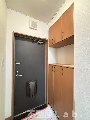 ファレノプシス