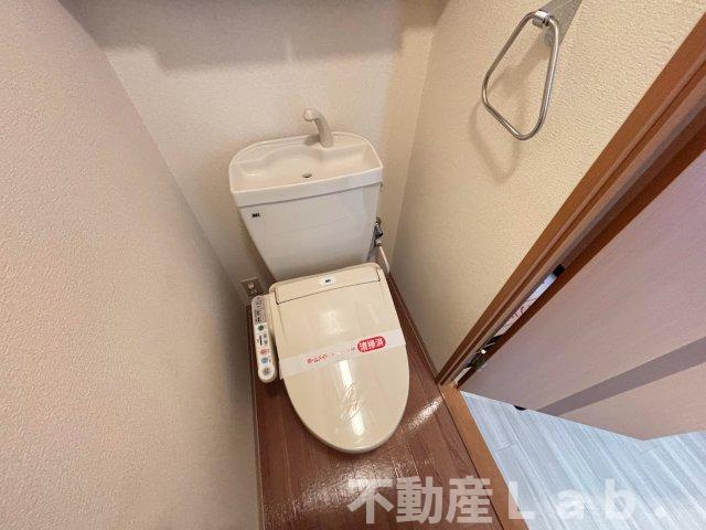 ファレノプシスのトイレ