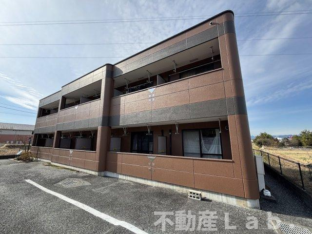 ファレノプシスの外観