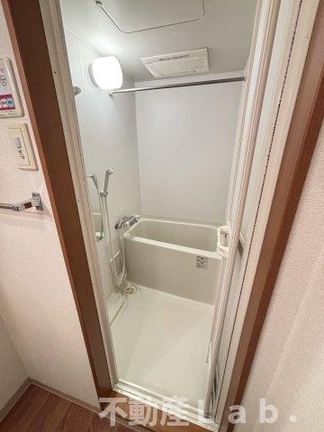 ファレノプシス