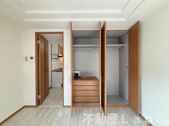 ファレノプシスの収納