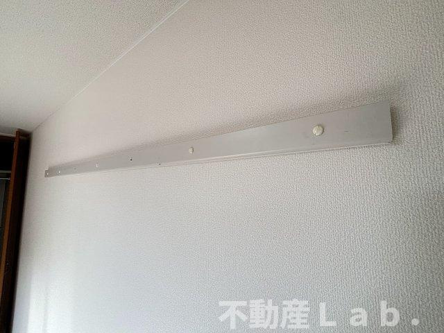 ファレノプシス