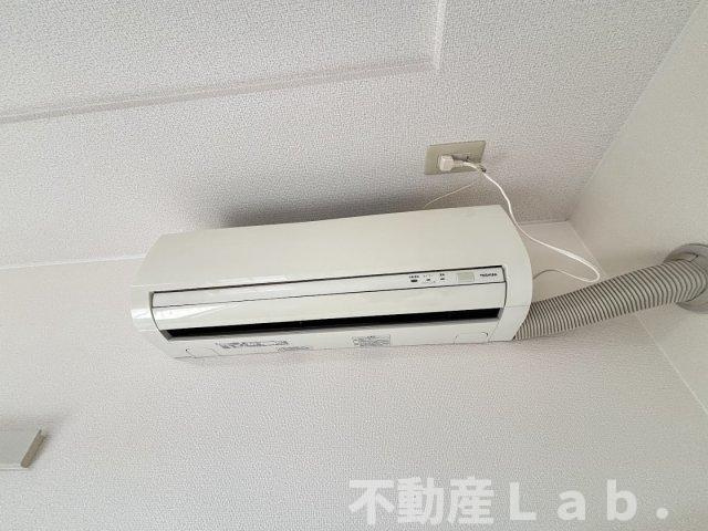 ファレノプシスのその他