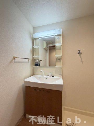 グランディールハイムの洗面所