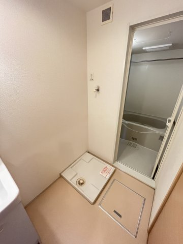 メゾン．ド．プランタンの洗面所