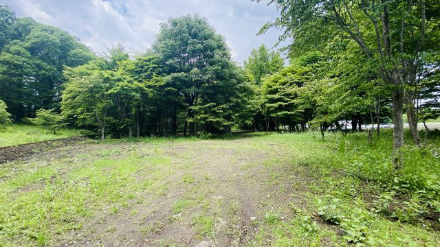 中軽井沢 明るく平坦で拓けた売土地