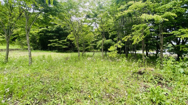 中軽井沢 明るく平坦で拓けた売土地のその他