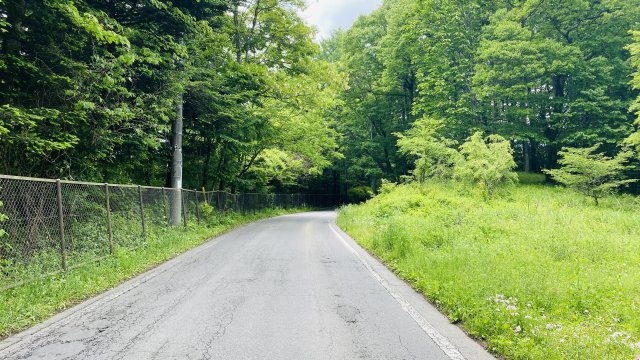 中軽井沢 明るく平坦で拓けた売土地の前面道路含む現地写真