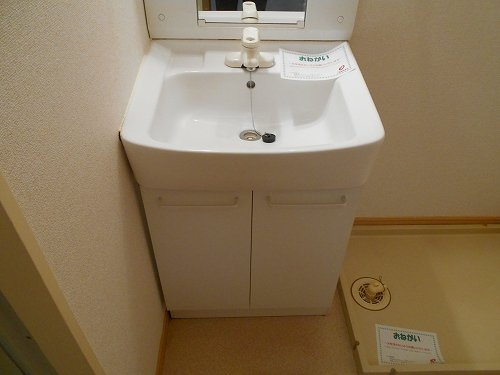 フラッツ・アイの洗面所