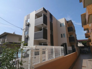 博多小町Ⅱの画像