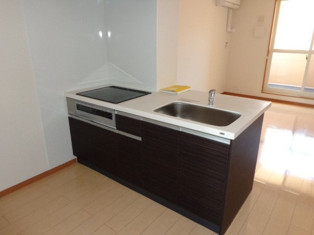 パームヒルズ カネヨシ Ａ棟のキッチン