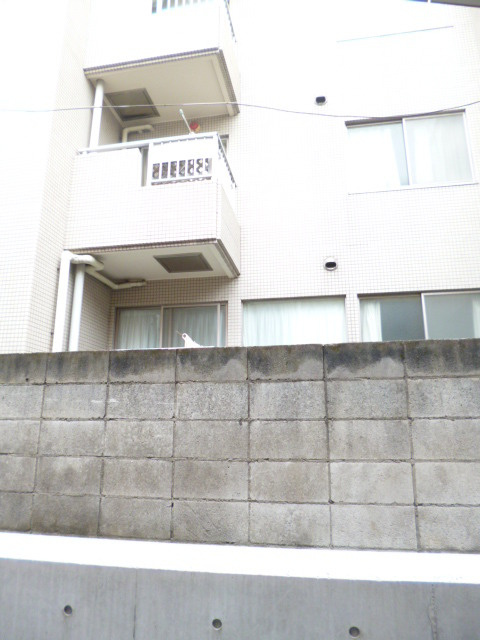 オリエンスの展望