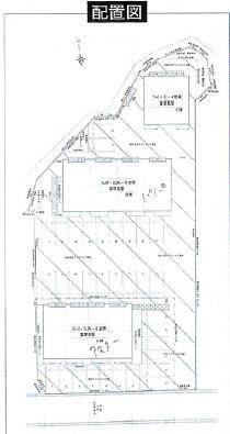 モンステラの外観|配置図