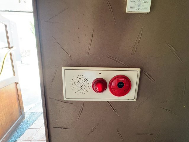 ペンギンのその他