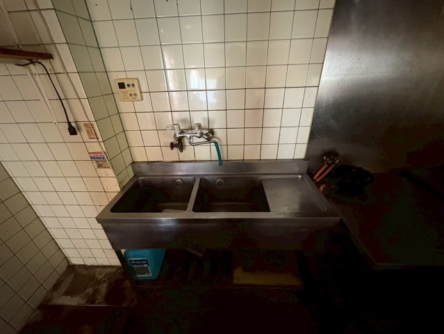 ペンギンのその他