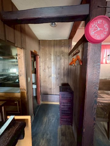 ペンギンのその他