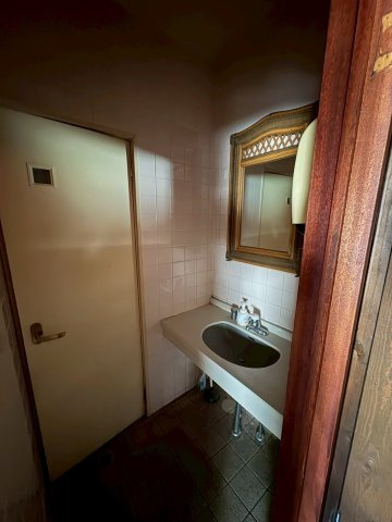 ペンギンのその他