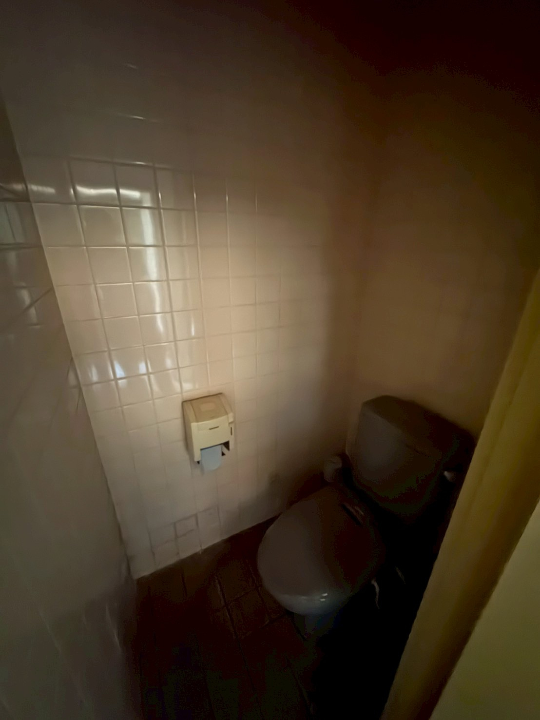 ペンギンのトイレ