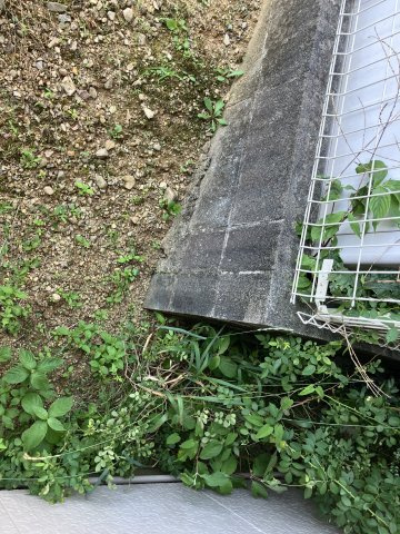 売地　豊橋市飯村南五丁目の前面道路含む現地写真