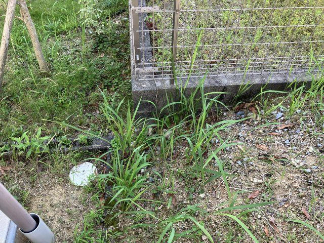 売地　豊橋市飯村南五丁目の前面道路含む現地写真