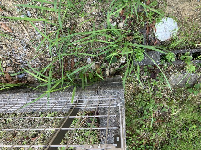 売地　豊橋市飯村南五丁目の前面道路含む現地写真