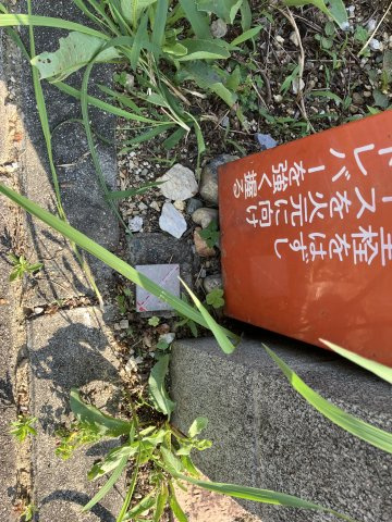 売地　豊橋市飯村南五丁目の前面道路含む現地写真