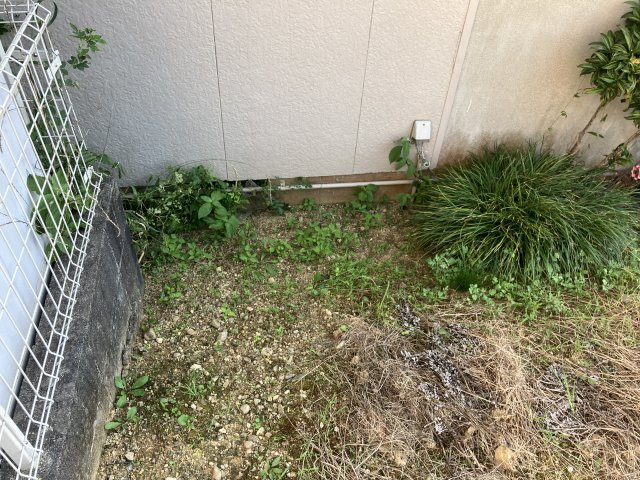 売地　豊橋市飯村南五丁目の前面道路含む現地写真