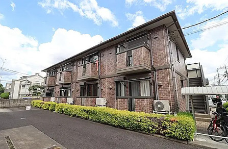 カモミールの外観