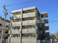 シャルマンオルキデの画像