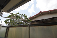 ※他部屋参考写真