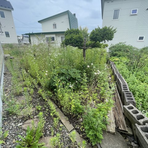 室蘭市白鳥台4丁目21-10戸建の庭