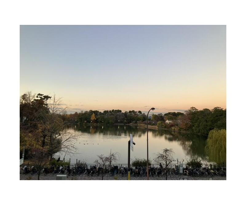 ルフューズ洗足池の展望