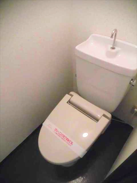 セジュールヒガシⅠのトイレ