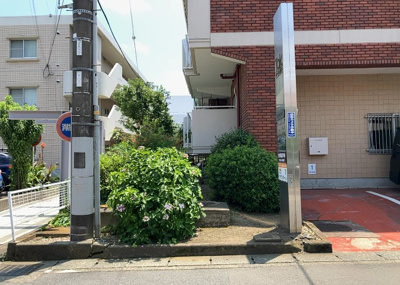 【中庭】 | タック本厚木 | 中庭（パティオ）とは、一つの建築物の内部に設けられた、壁などで囲われている庭のことを指します。コの字型、ロの字型が主流ですが、L字型の中庭もあります。最近では、インテリア性の高さからも人気があります。