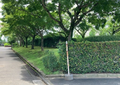 【中庭】 | 木曽住宅ト－９号棟 | 中庭（パティオ）とは、一つの建築物の内部に設けられた、壁などで囲われている庭のことを指します。コの字型、ロの字型が主流ですが、L字型の中庭もあります。最近では、インテリア性の高さからも人気があります。