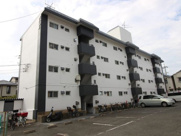 Serie東大阪の画像