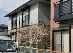 【外観】 | エスエイハイツ