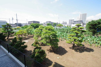 【周辺】 | 北側