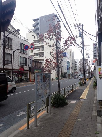プライムアーバン白山の周辺