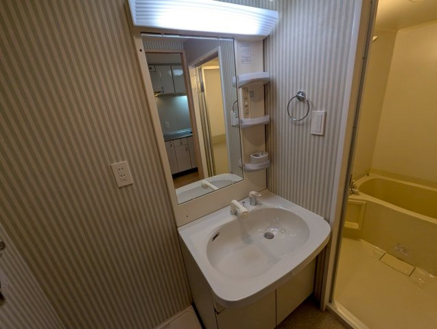 三協ハイツⅡの洗面所