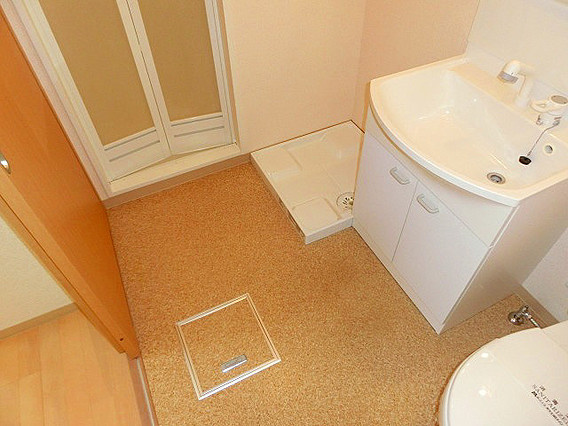 ビリオン日暮の洗面所