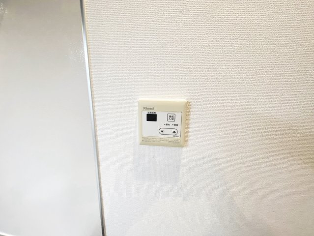 雅のその他