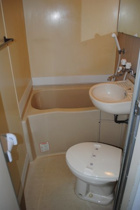 落ち着いた色調のトイレです