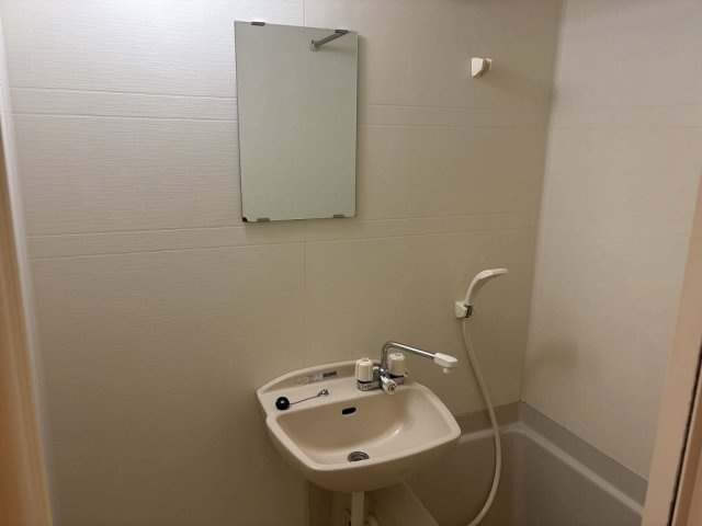 さいたま市桜区大字上大久保の賃貸マンションの洗面所|おしゃれな内装です