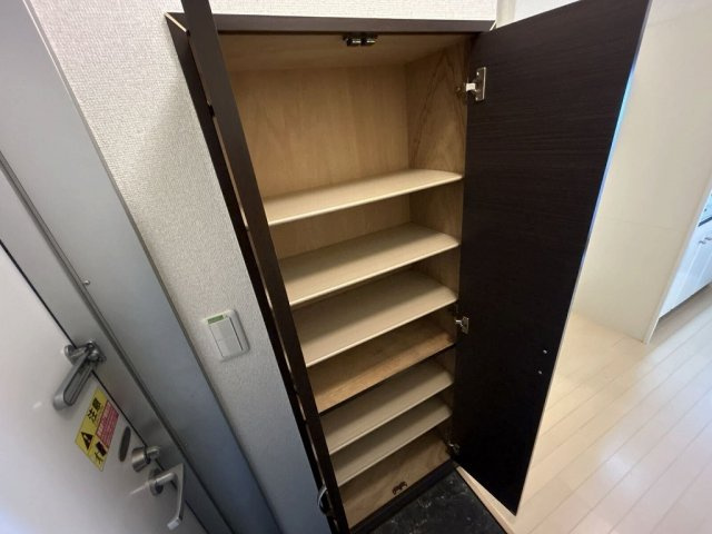 レオネクストしうんの収納