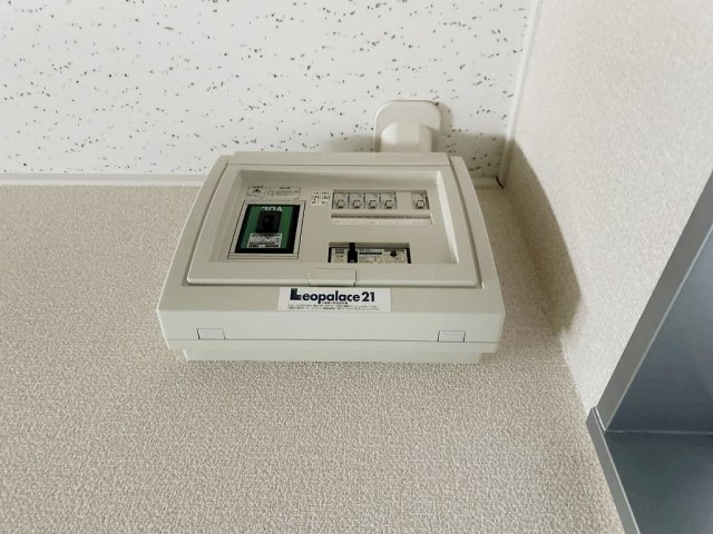 レオネクストしうんのその他