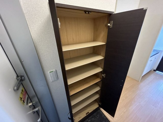 レオネクストしうんの収納