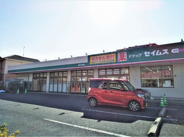 レオネクストルナ大宮の周辺