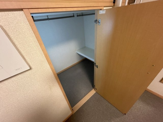 さいたま市南区松本４丁目の賃貸マンションの収納|内装です