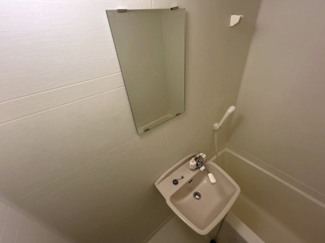 さいたま市桜区大字下大久保の賃貸マンションの洗面所|おしゃれな内装です